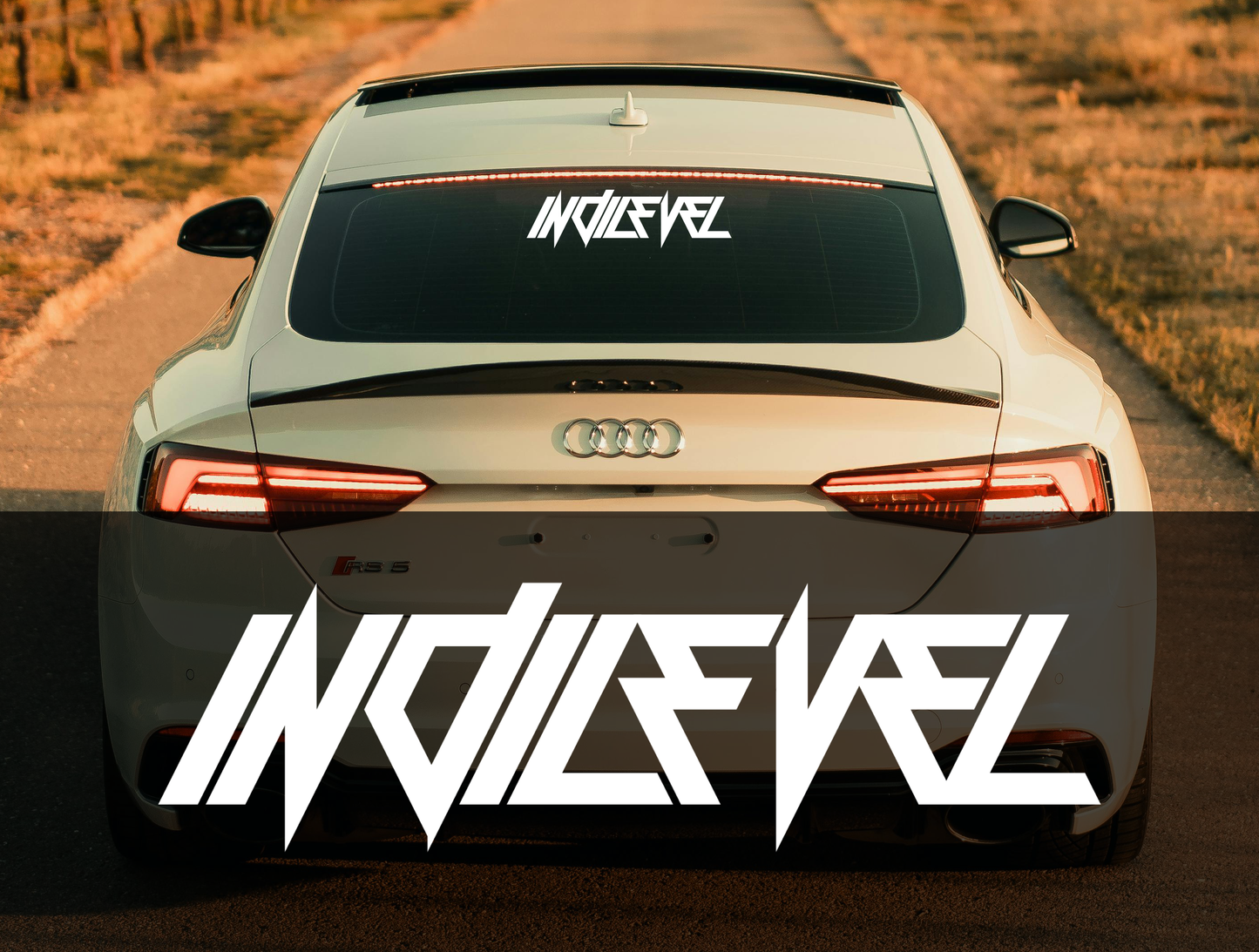 "Indilevel" - Vinyl Banner