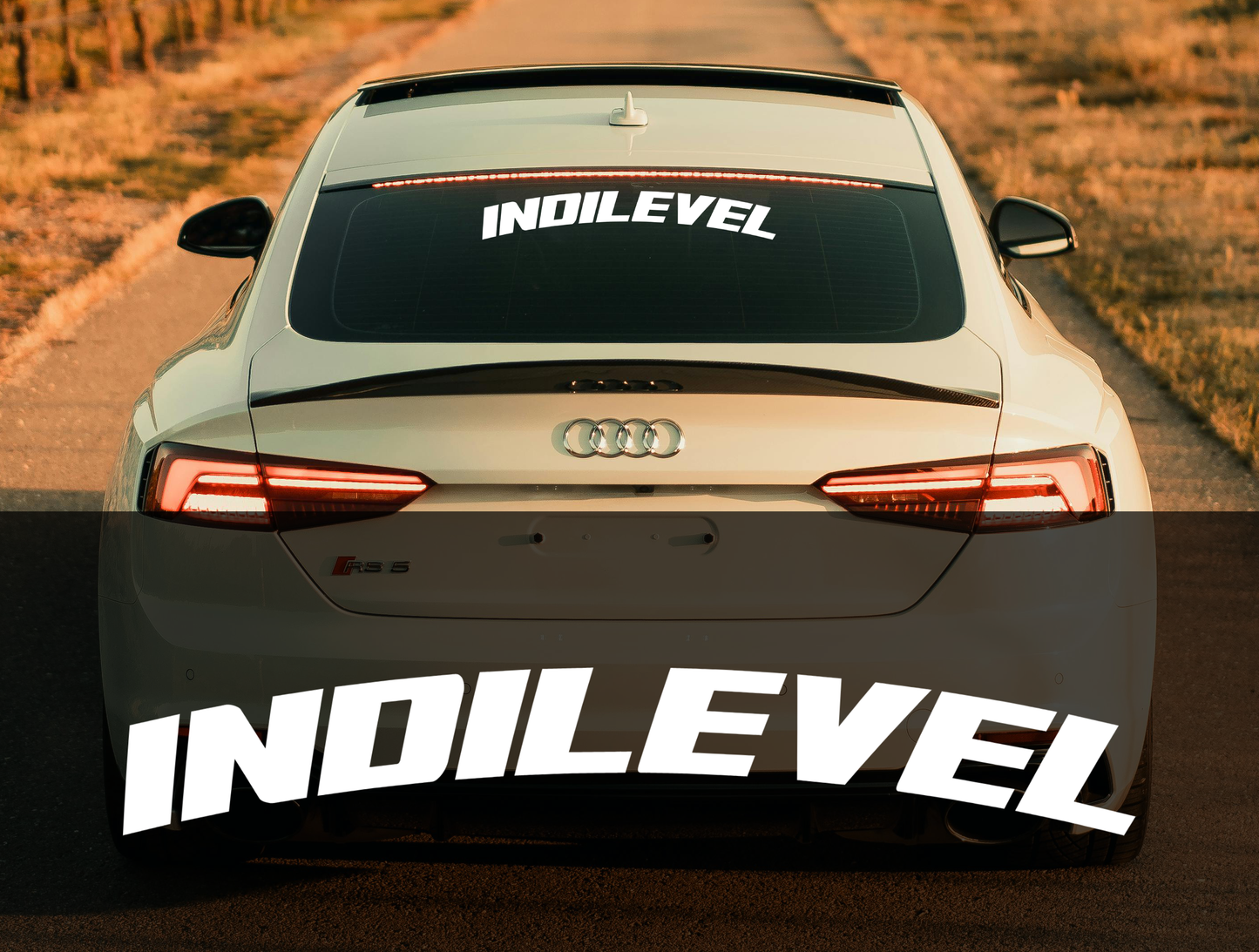 "Indilevel" - Vinyl Banner