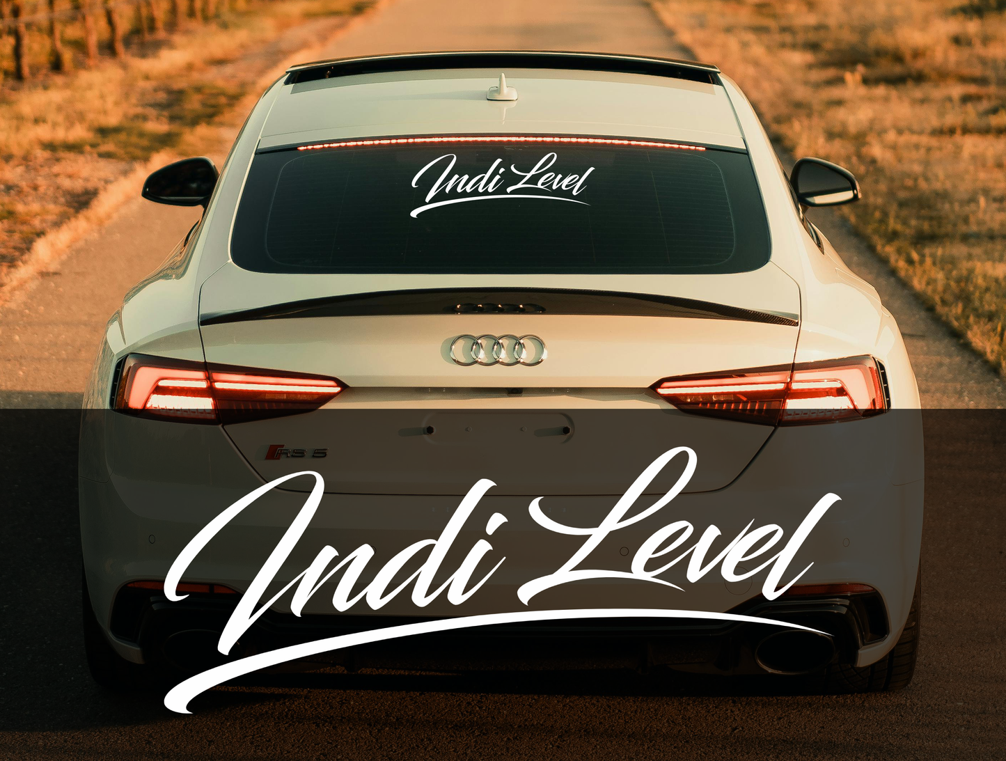 "Indilevel" - Vinyl Banner